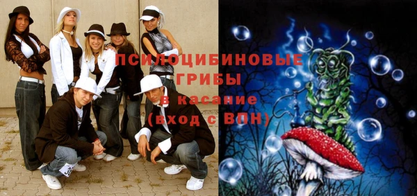МДПВ Алексин